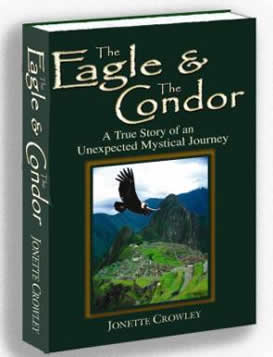 The Eagle & The Condor