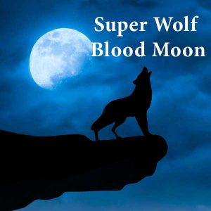 Super Wolf Blood Moon Jan 19
