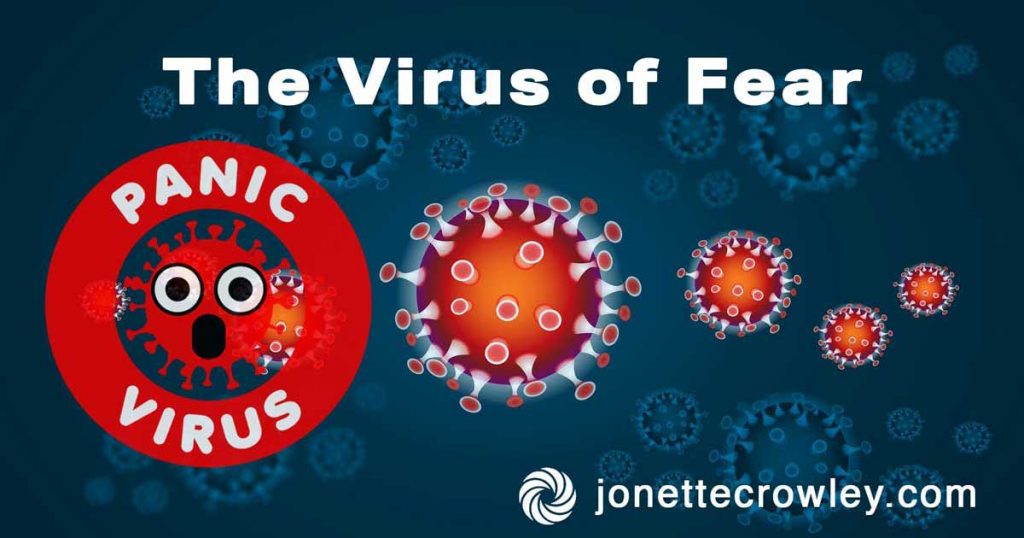 The Virus of Fear by Jonette Crowley