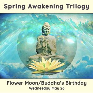 Spring Trilogy #3 Flower Moon