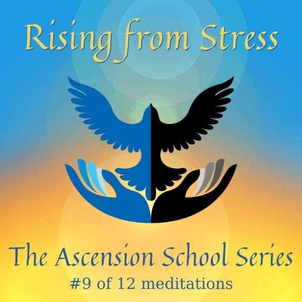 Rising from Stress Ascension School #9