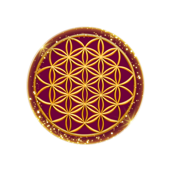 The Source Field Icon